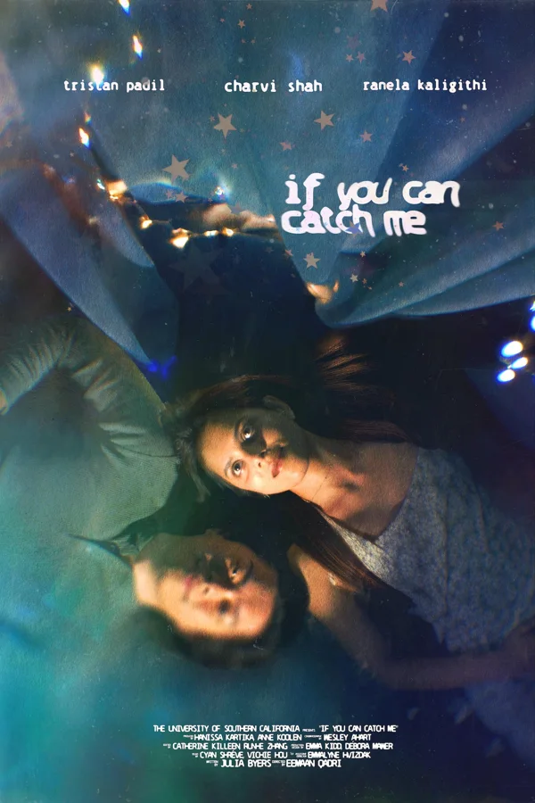 If You Can Catch Me poster